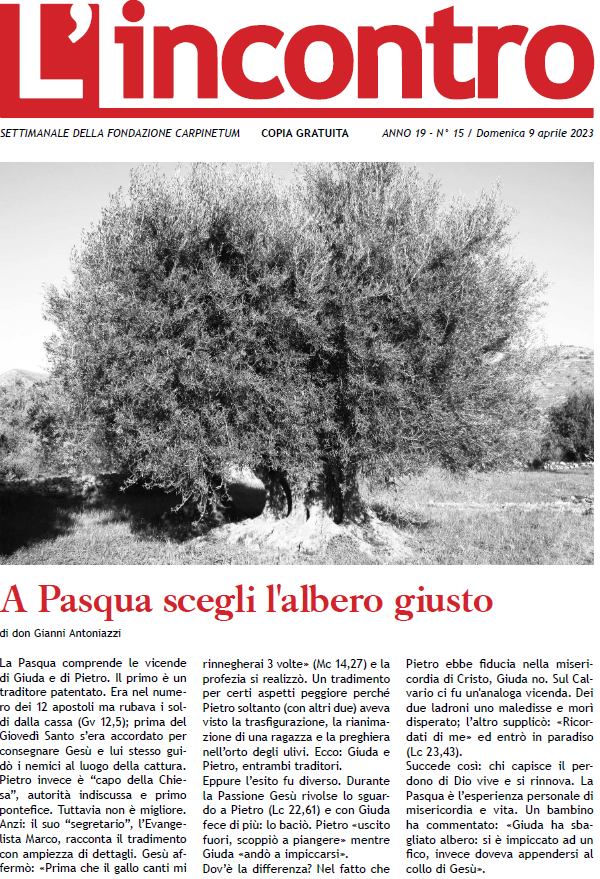 article image L’Incontro N° 15 – 2023