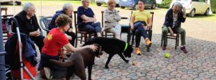 article image PET THERAPY AL CDV3