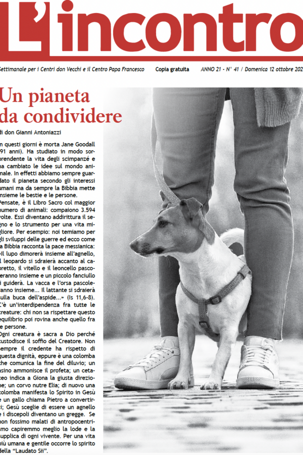 article image L’incontro N° 41 – 12/10/2025